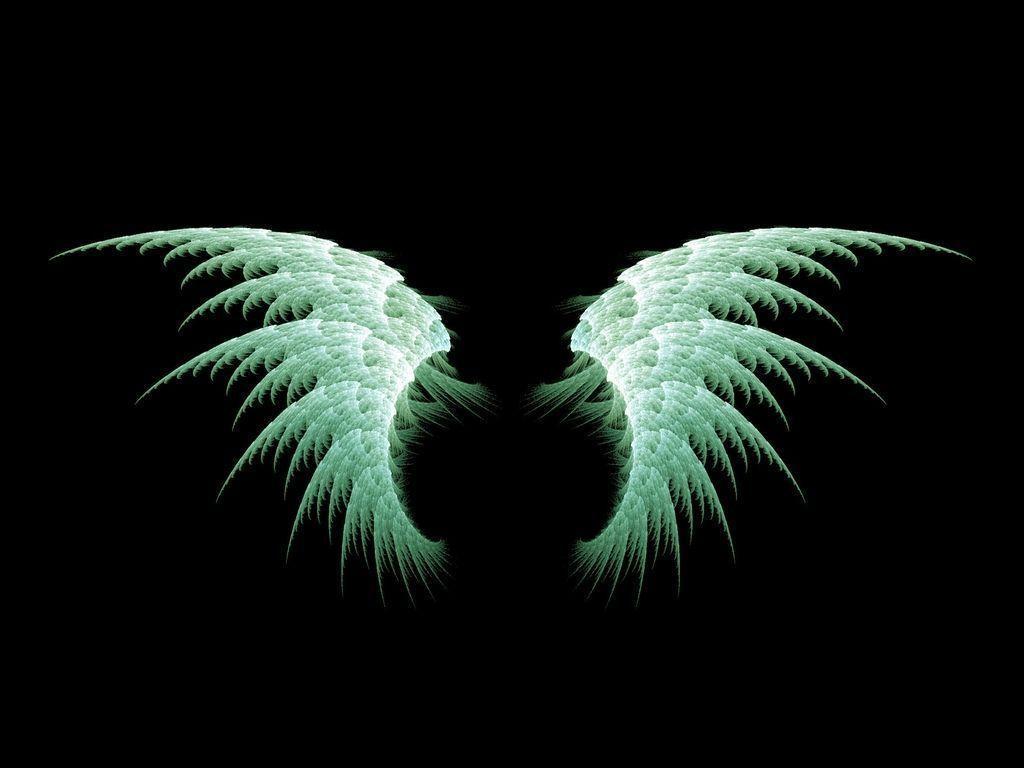 Wallpapers For > White Angel Wings Wallpapers