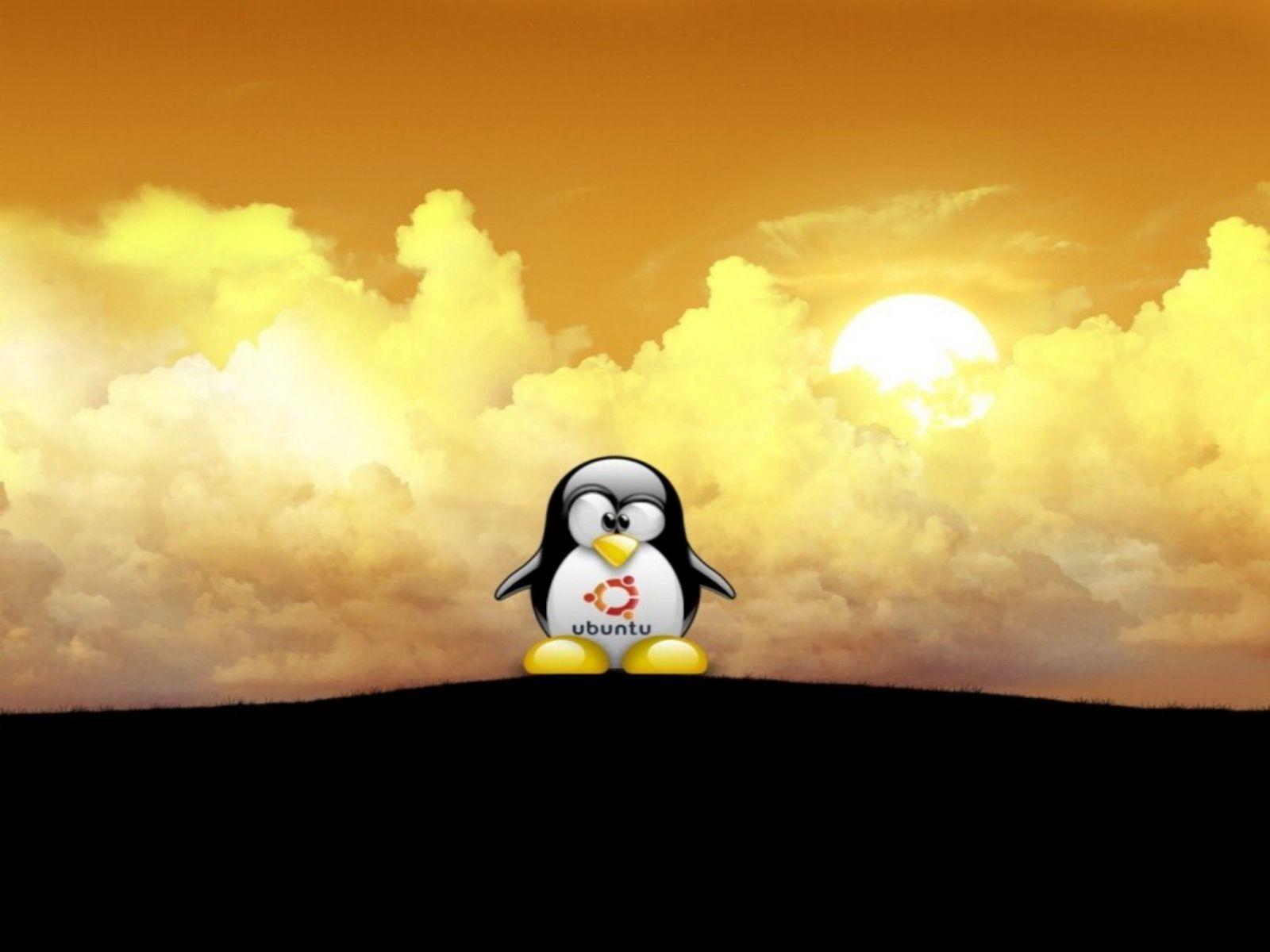 Penguin Ubuntu Wallpaper Tux The Best Friend Of Mine
