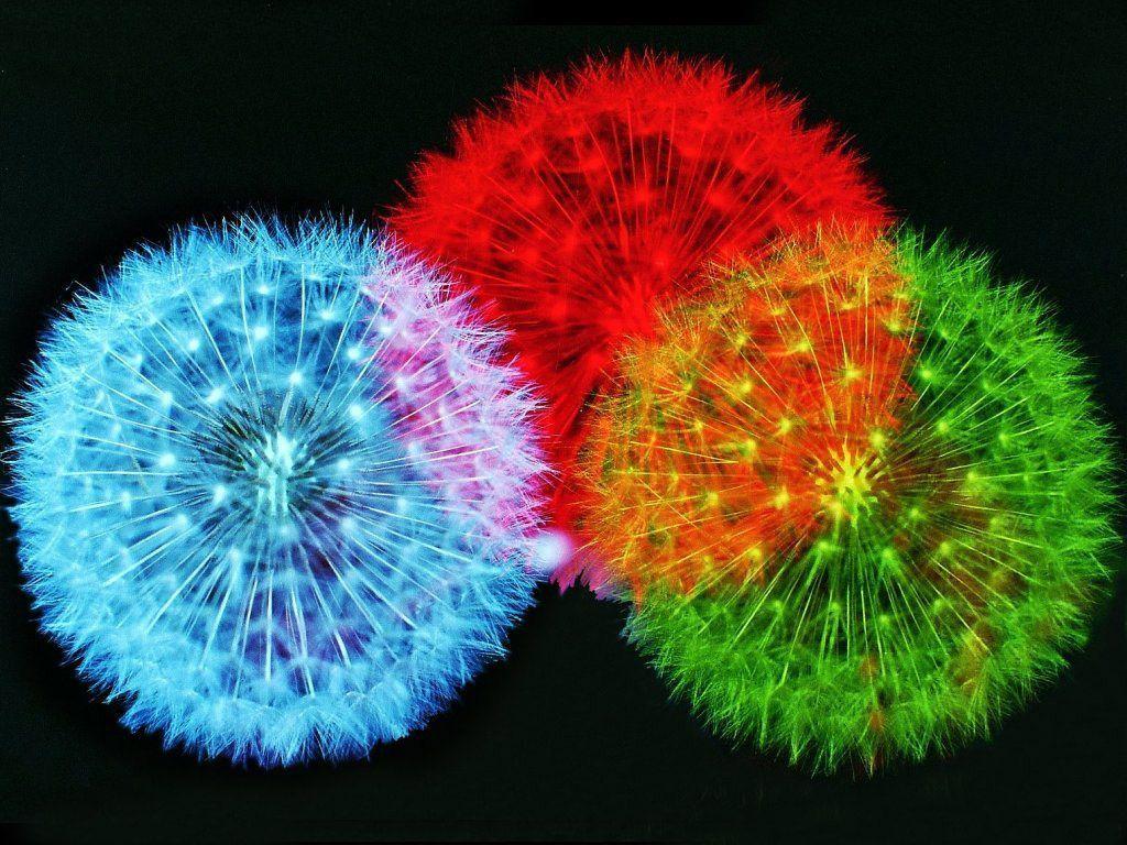3D. HD Wallpaper. Wallpaa