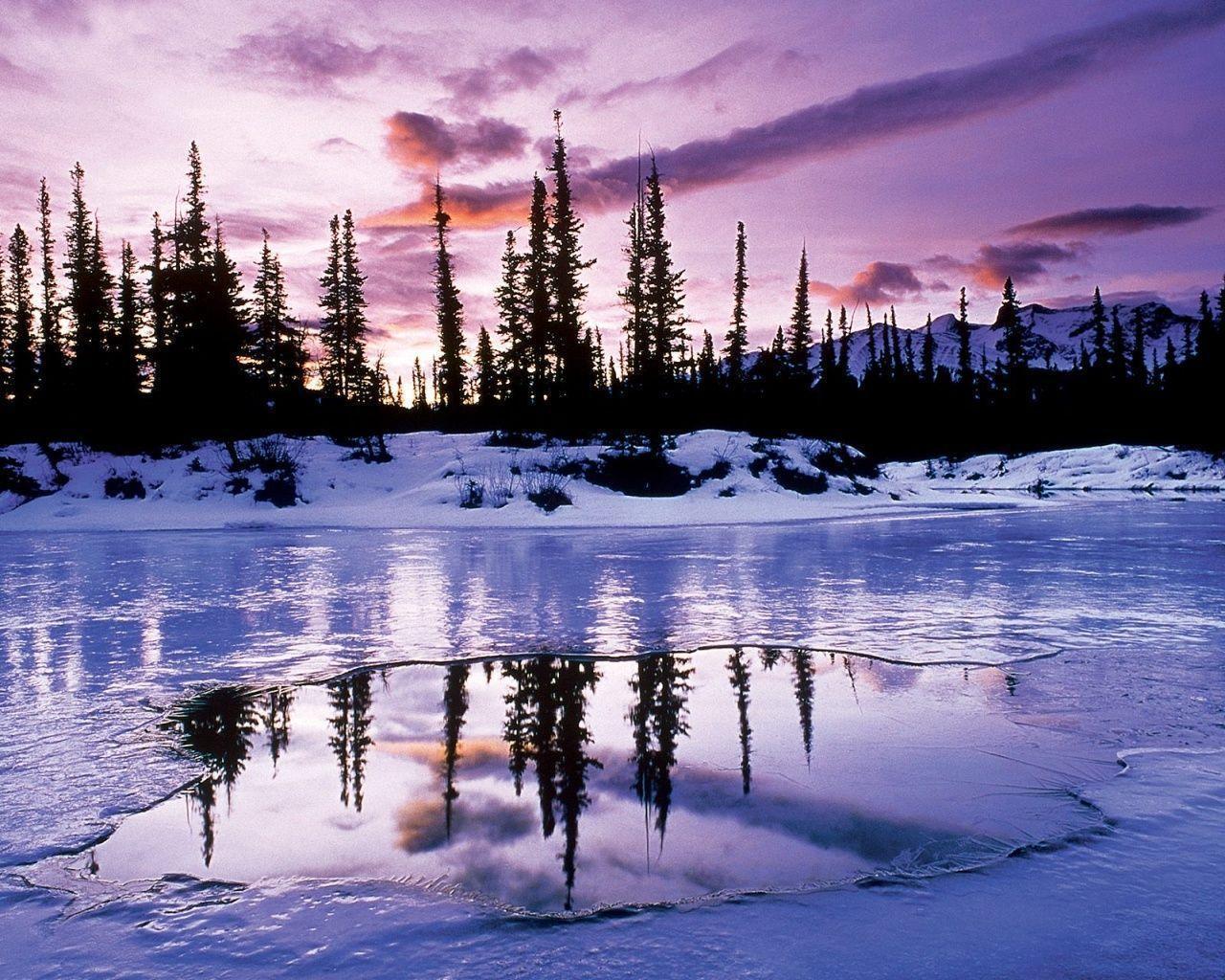 Beautiful Winter HD Wallpaper: Nature by Free HD Wallpaper