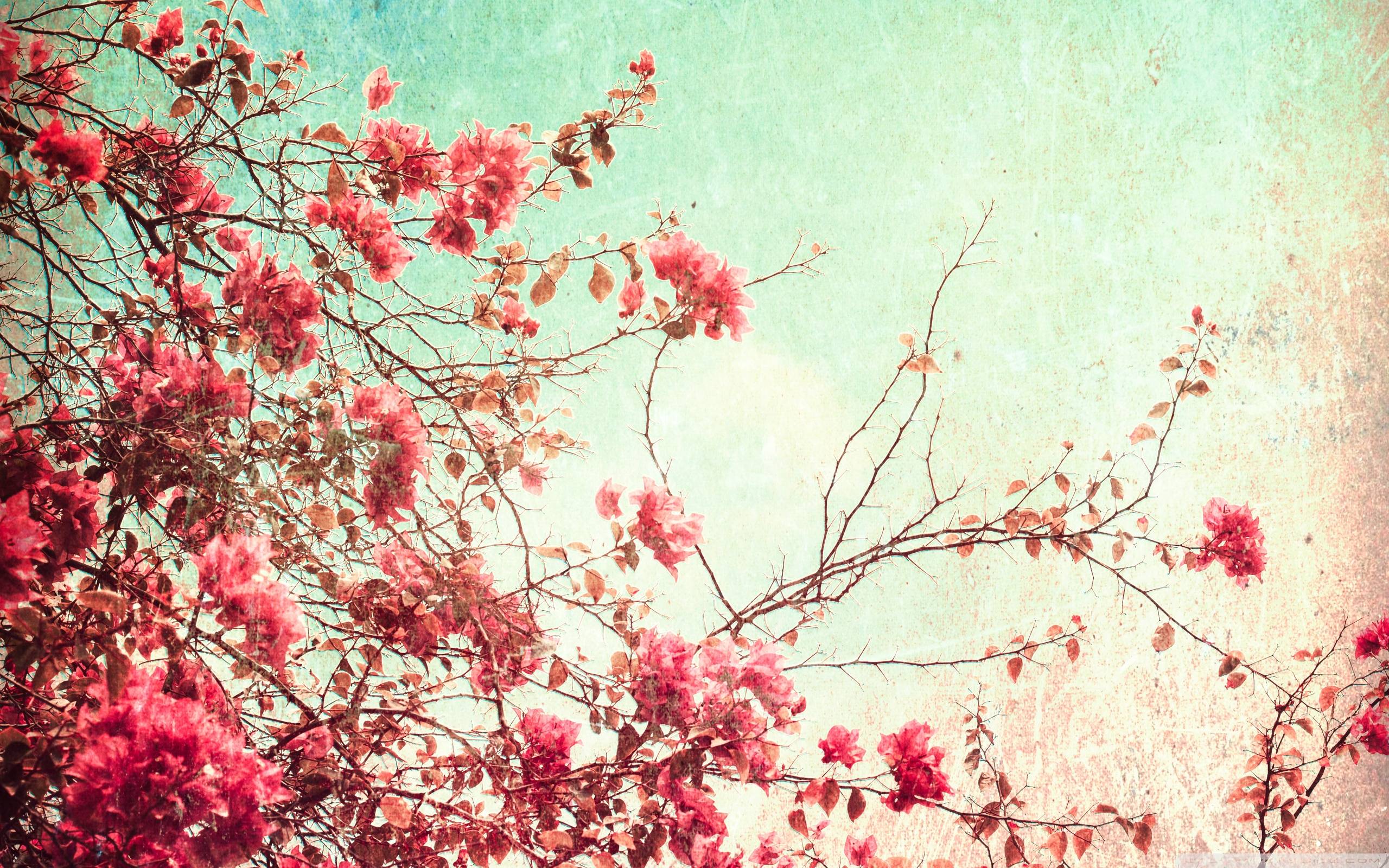 Wallpaper For > Retro Floral Desktop Wallpaper