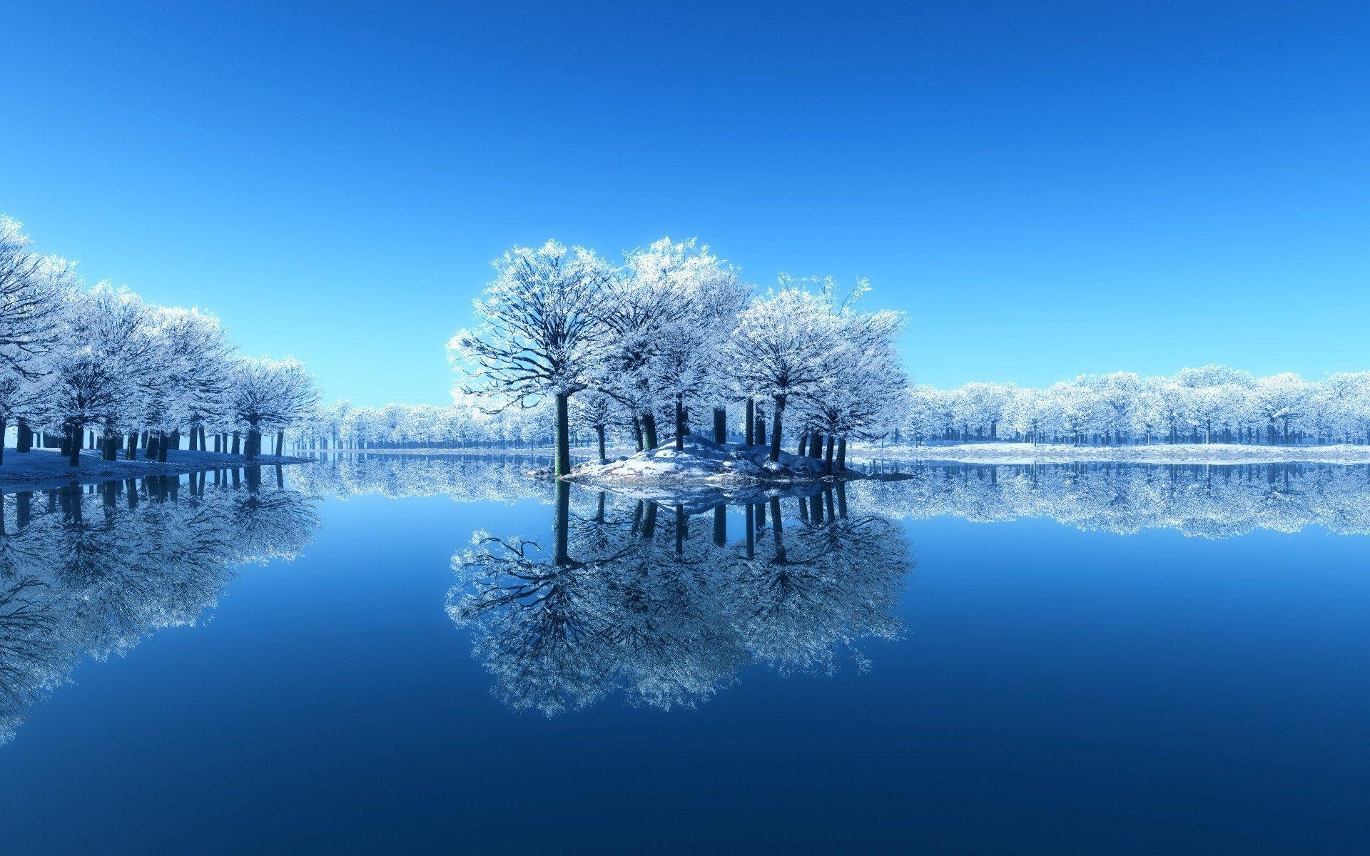 Winter View HD Wallpaper Wallpaper Inn