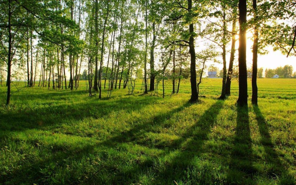 Summer Heat Desktop Wallpaper HD. High Quality PC Dekstop Full HD