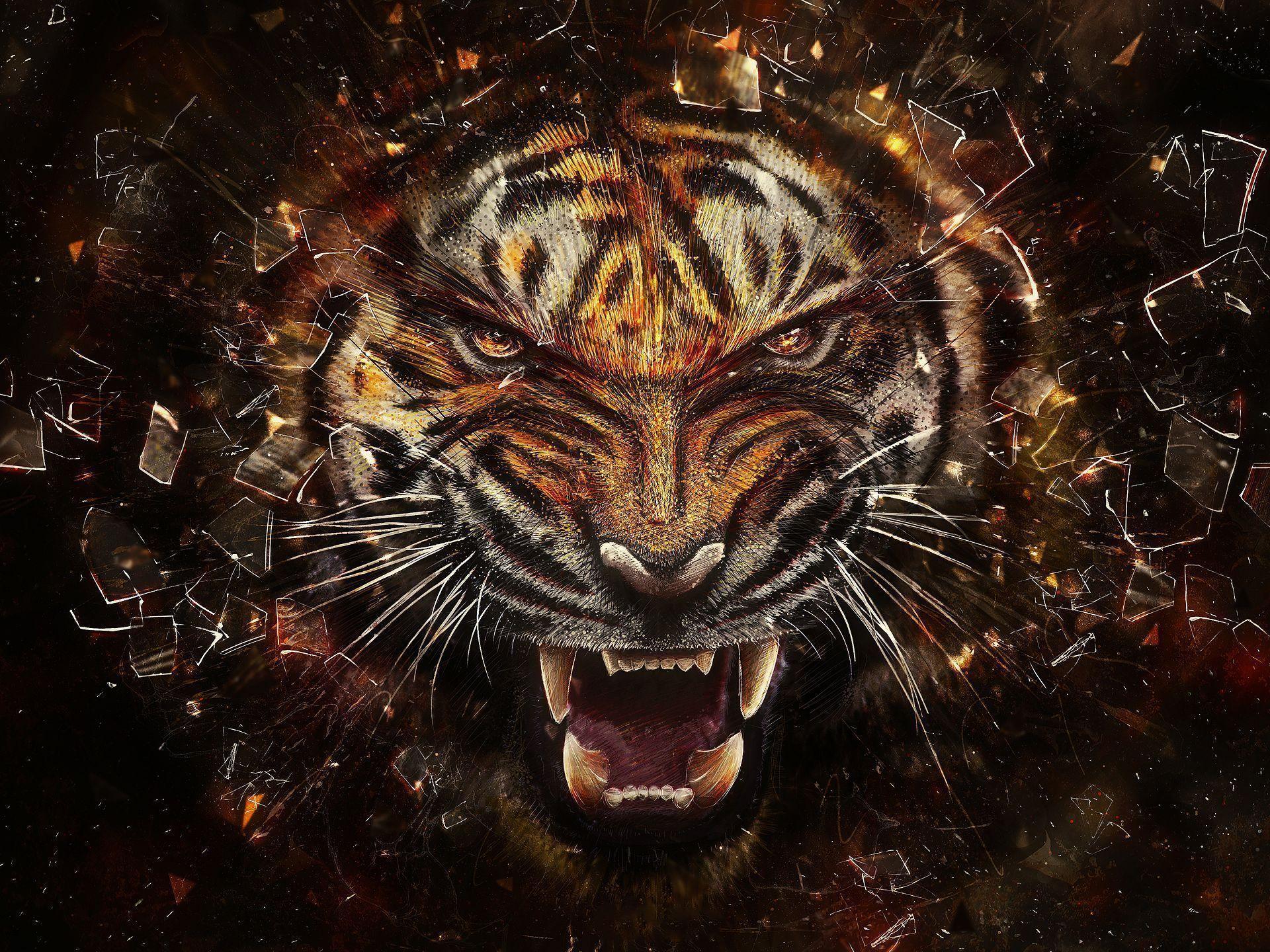 Cool Tiger Wallpapers - Wallpaper Cave