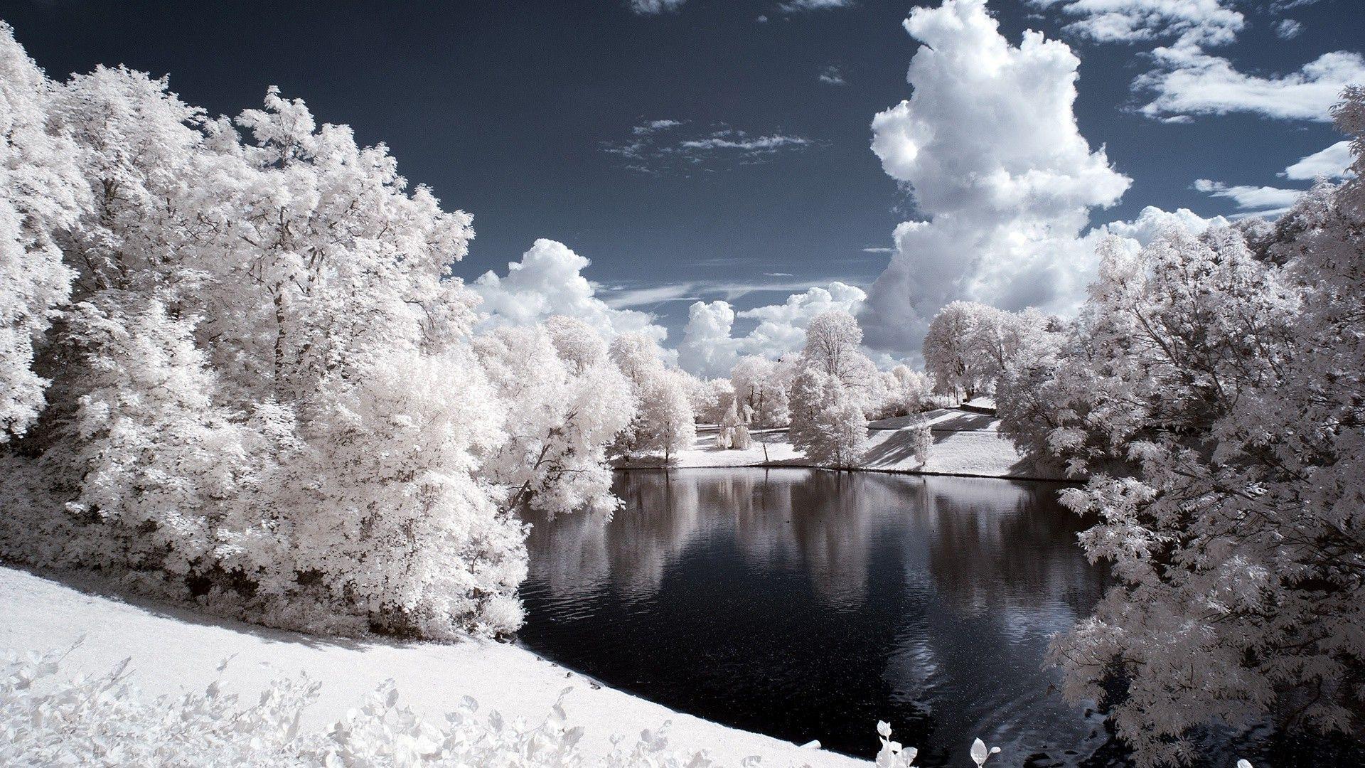 White winter landscape wallpaper #