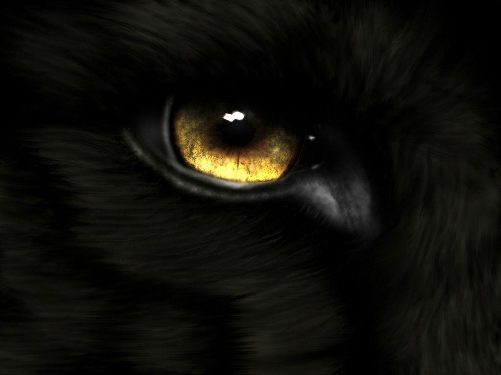 image For > Black Wolf With Red Eyes With Wings