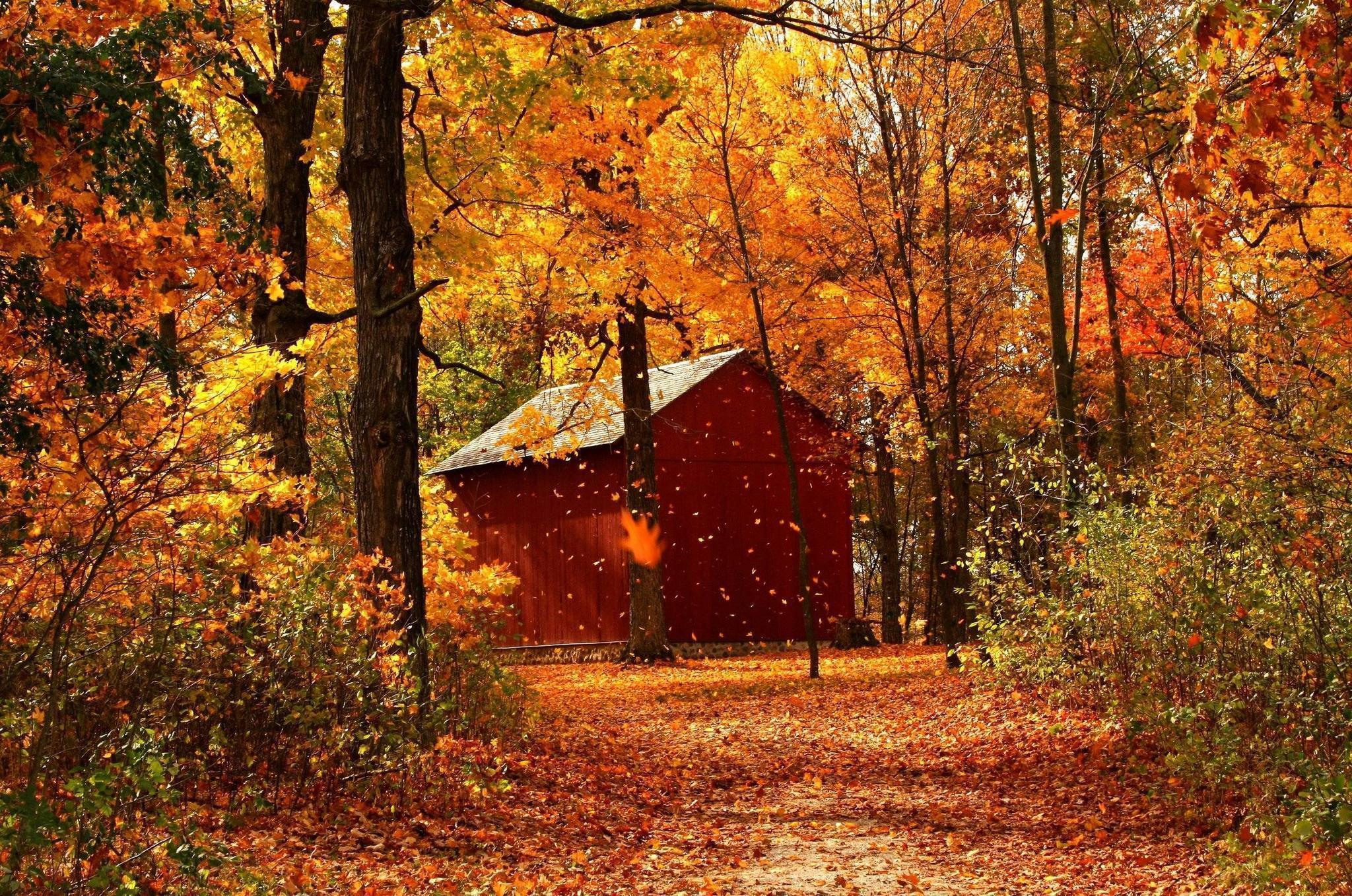Beautiful House Autumn Colors Wallpaper X