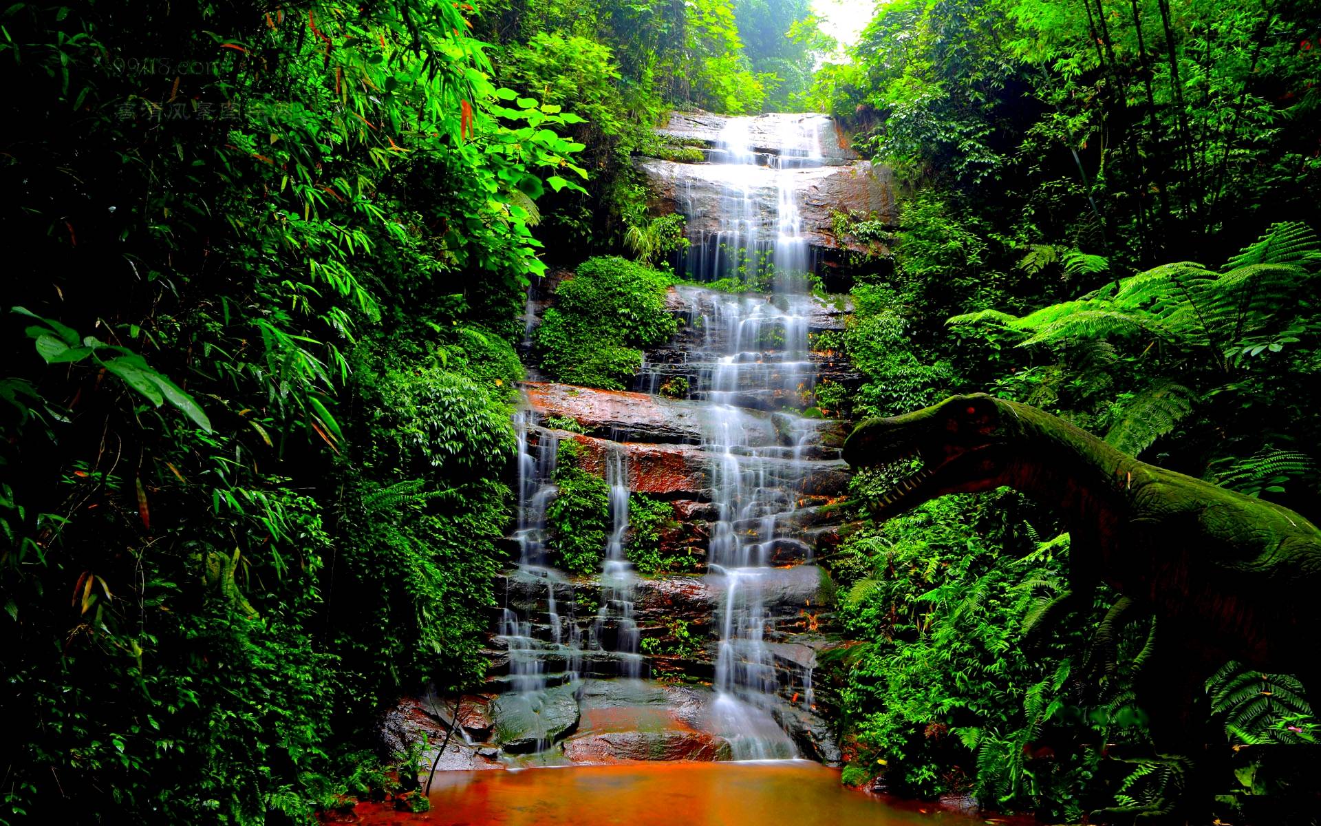 Forest Waterfall Desktop HD Wallpaper