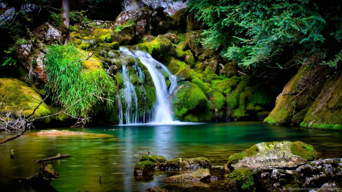 Rainforest Wallpapers - Full HD wallpaper search | Waterfall wallpaper,  Forest waterfall, Daintree rainforest