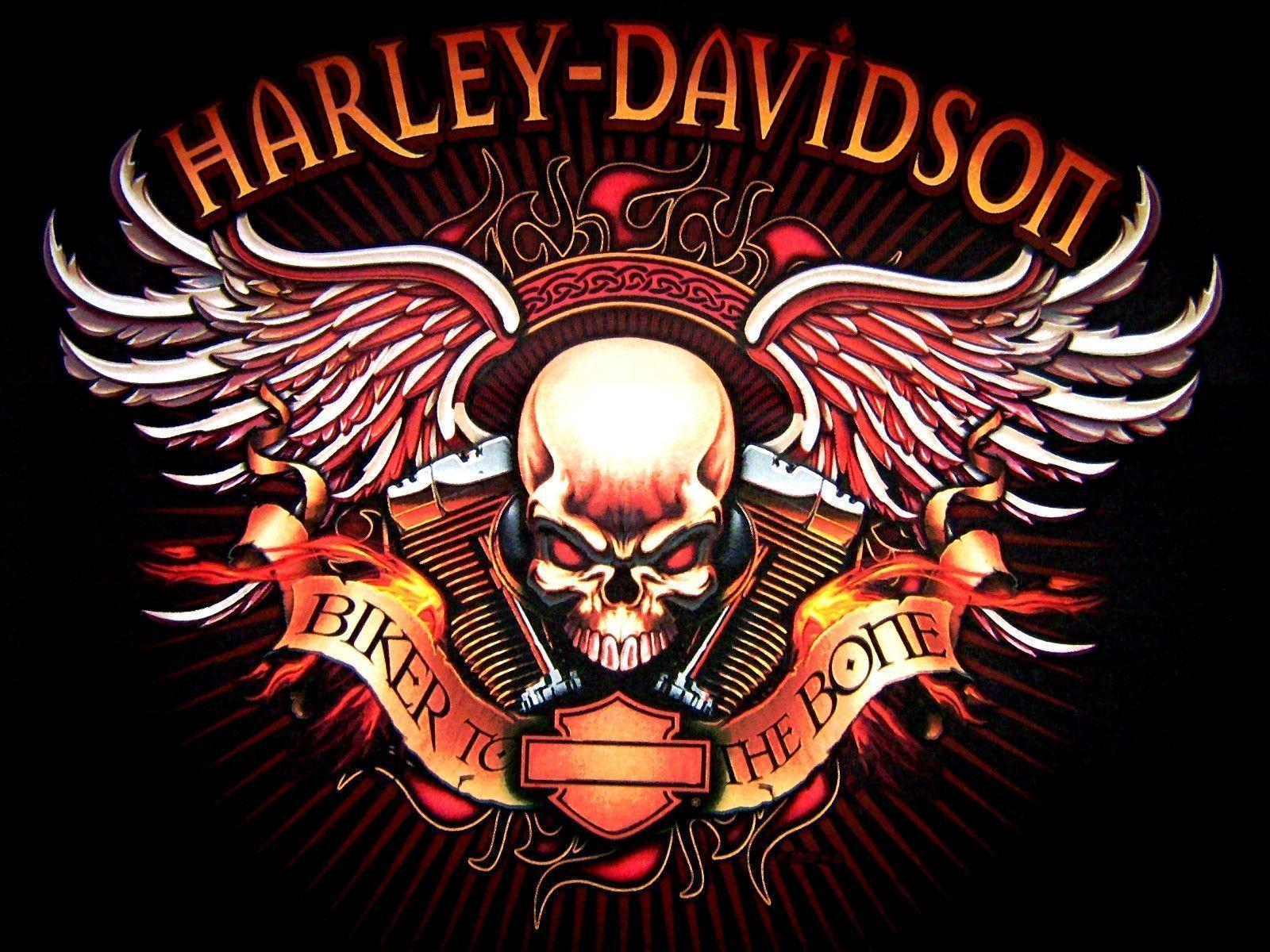 Harley Davidson Skull Logo With Flames 2015