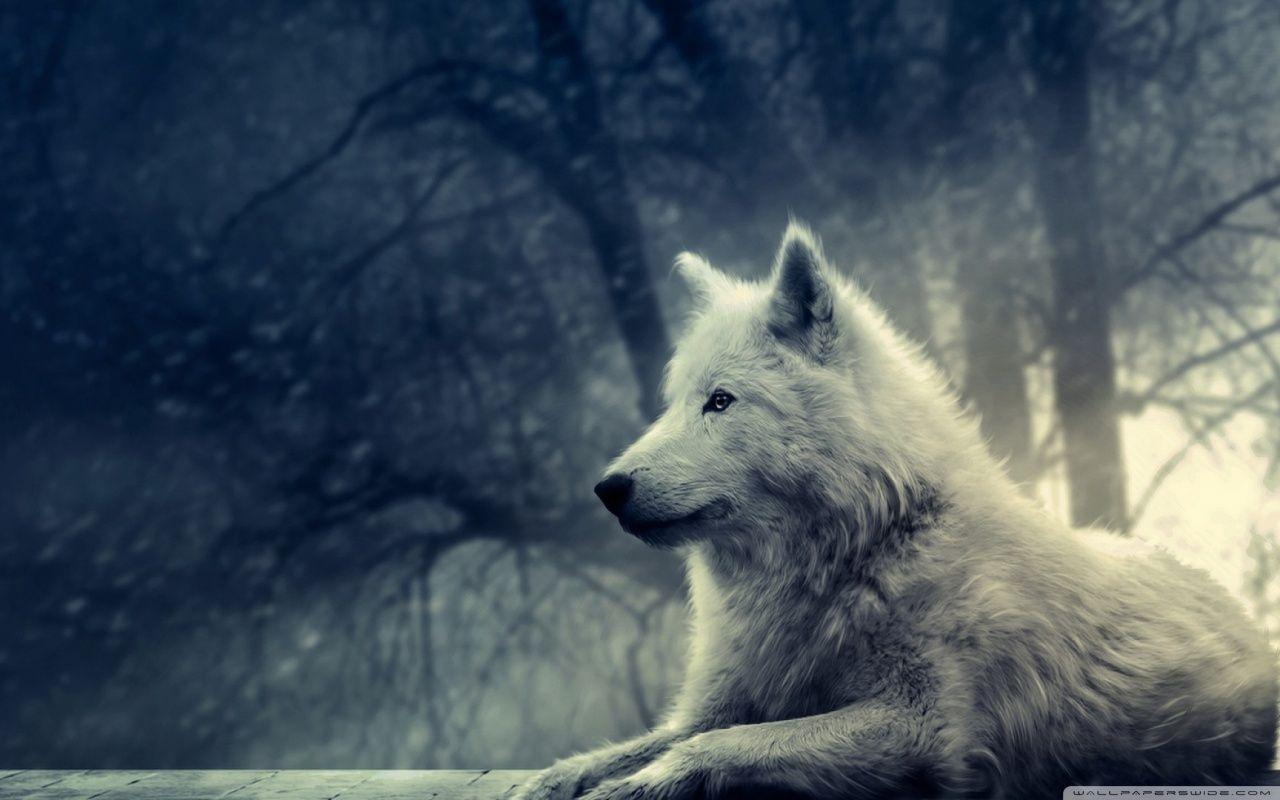 Wolves Wallpapers Wallpaper Cave