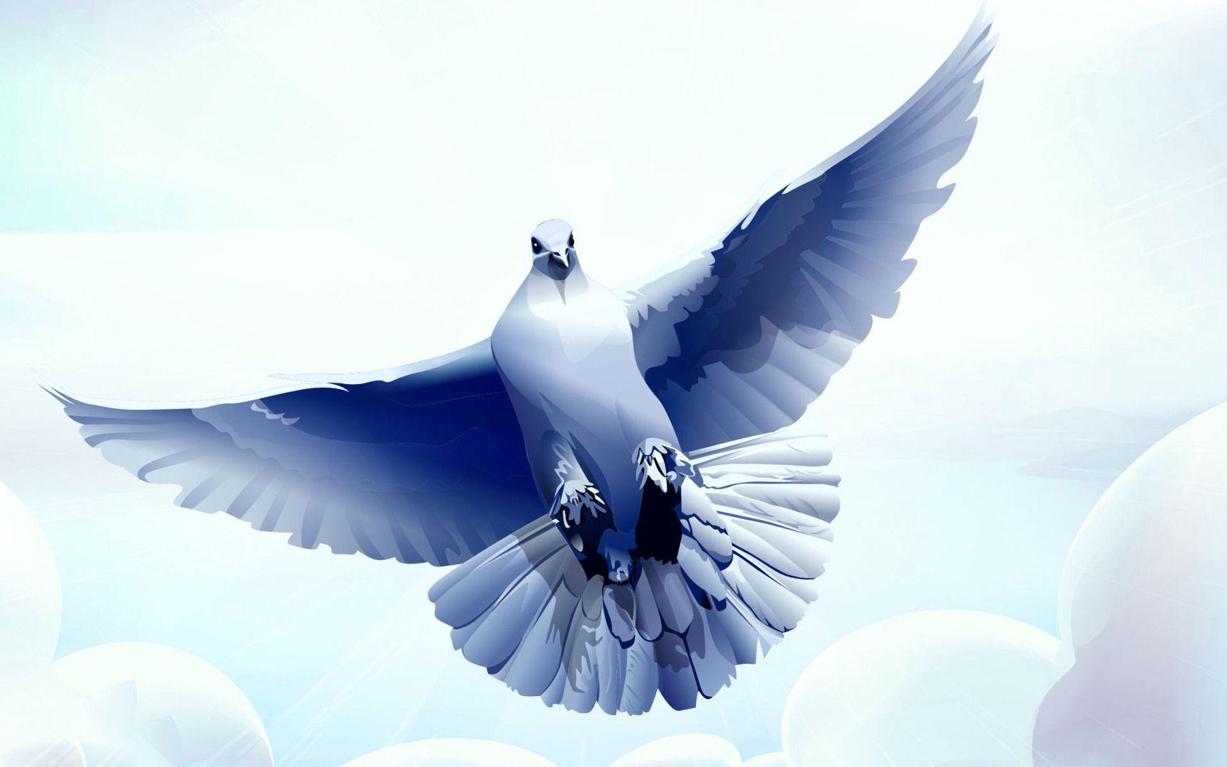 dove wallpaper qkqhn - Image And Wallpaper free to download