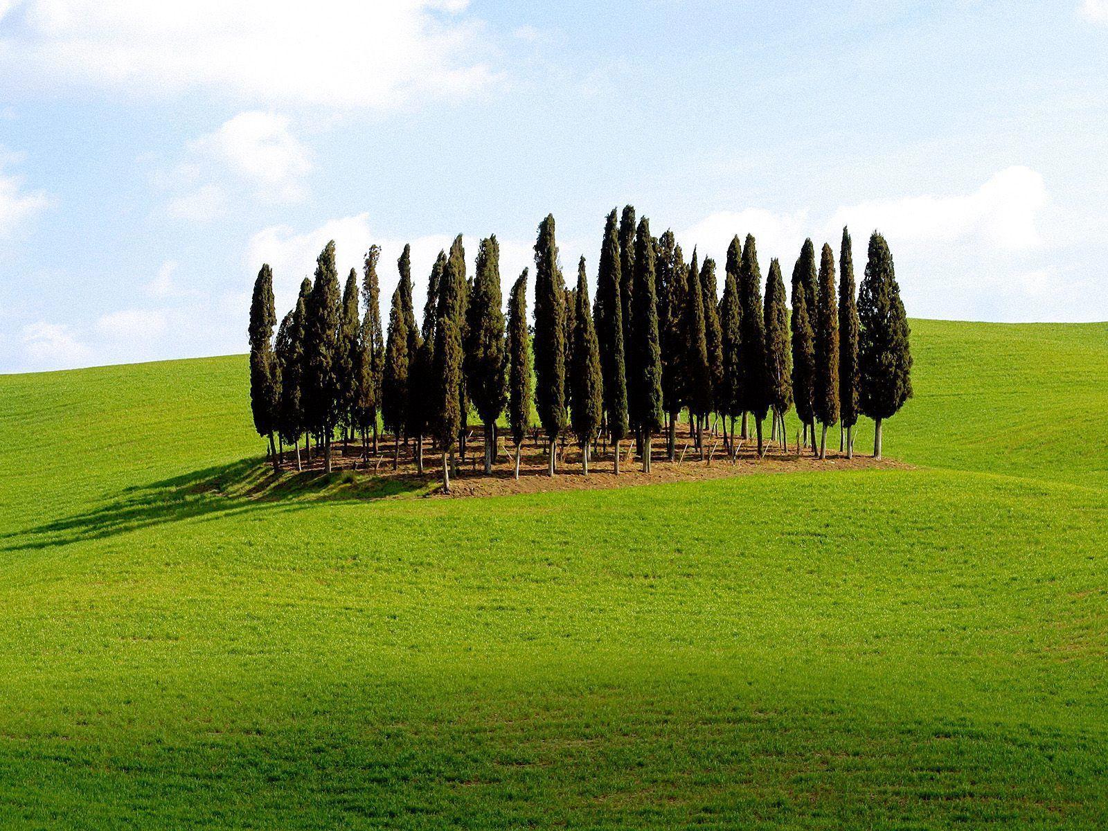 Scenic Siena Province, Tuscany, Italy #