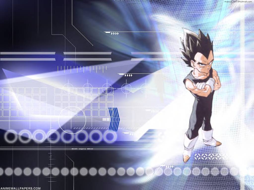 Vegeta Wallpaper and Picture Items