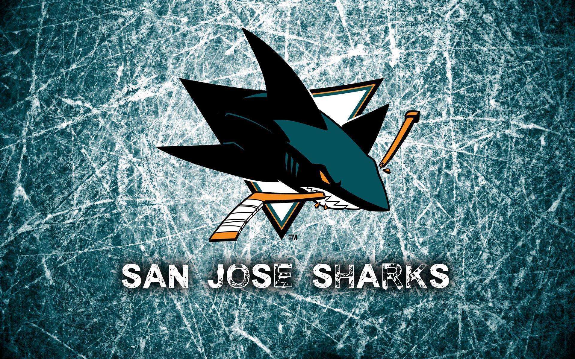 san jose sharks 3d