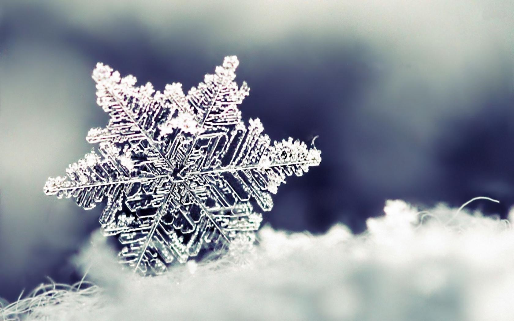 snowflake background