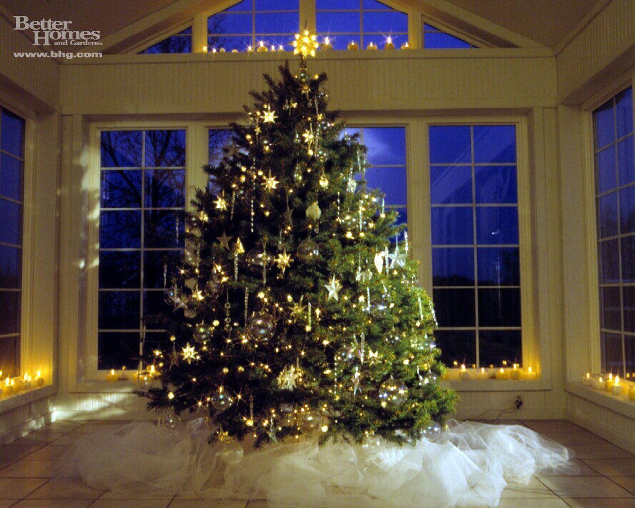 Christmas Tree Hd Backgrounds Wallpapers 50 HD Wallpapers