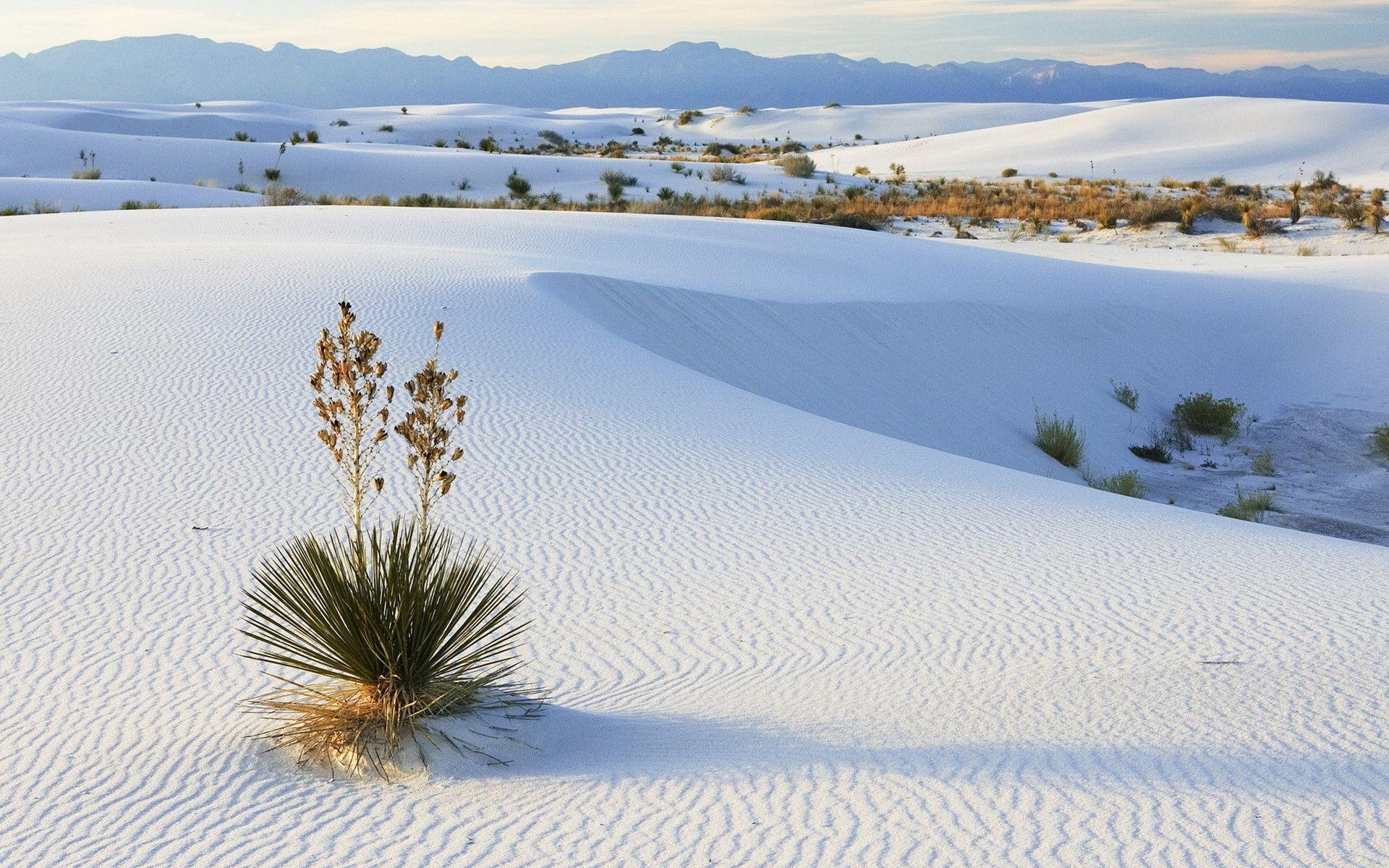White Sands wallpaper and image, picture, photo