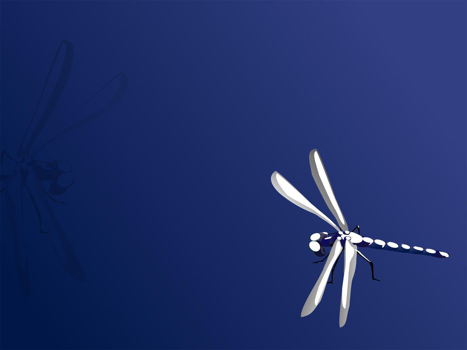 Blue Dragonfly PPT Background, Blue