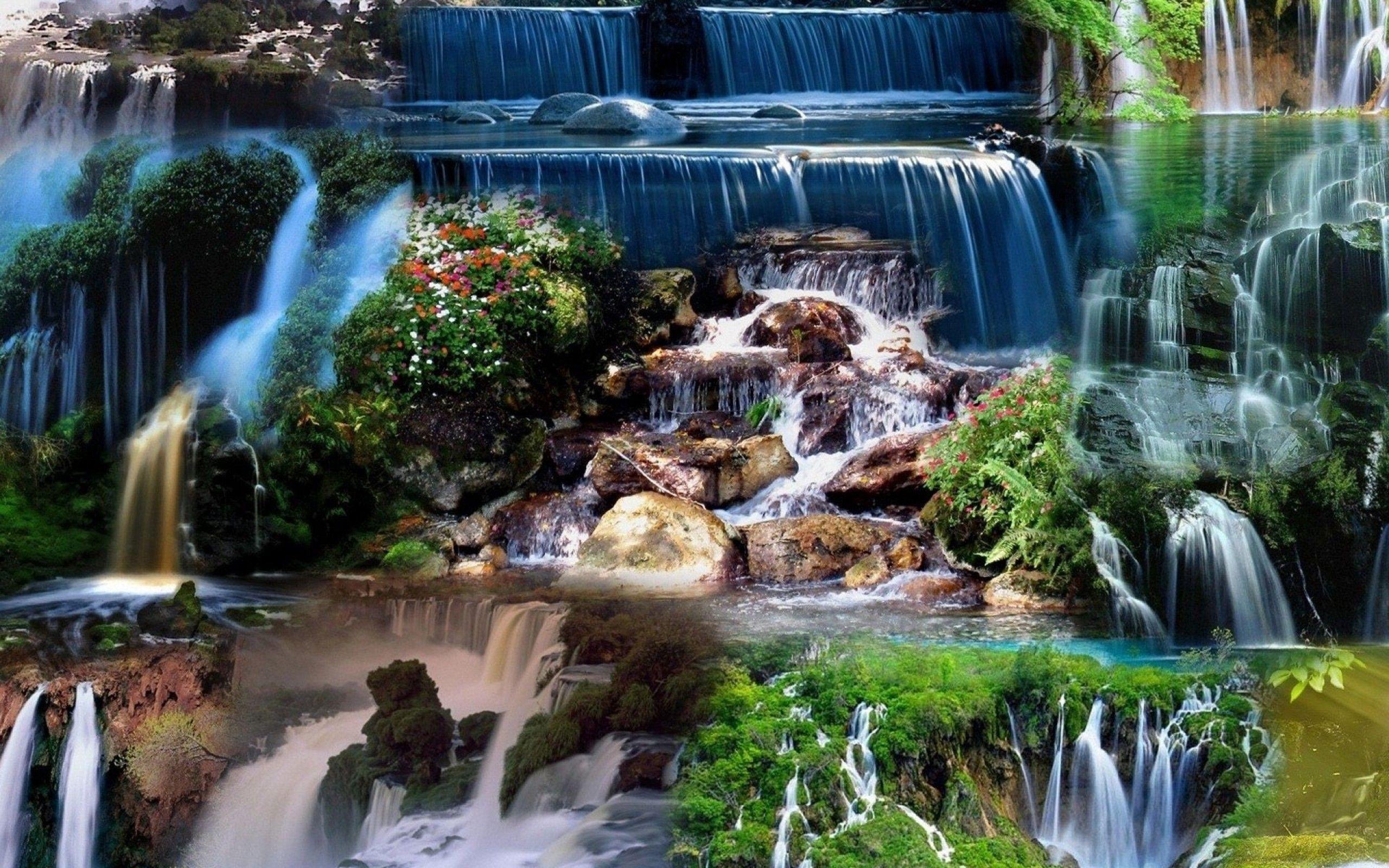 Natures Wallpaper Full HD