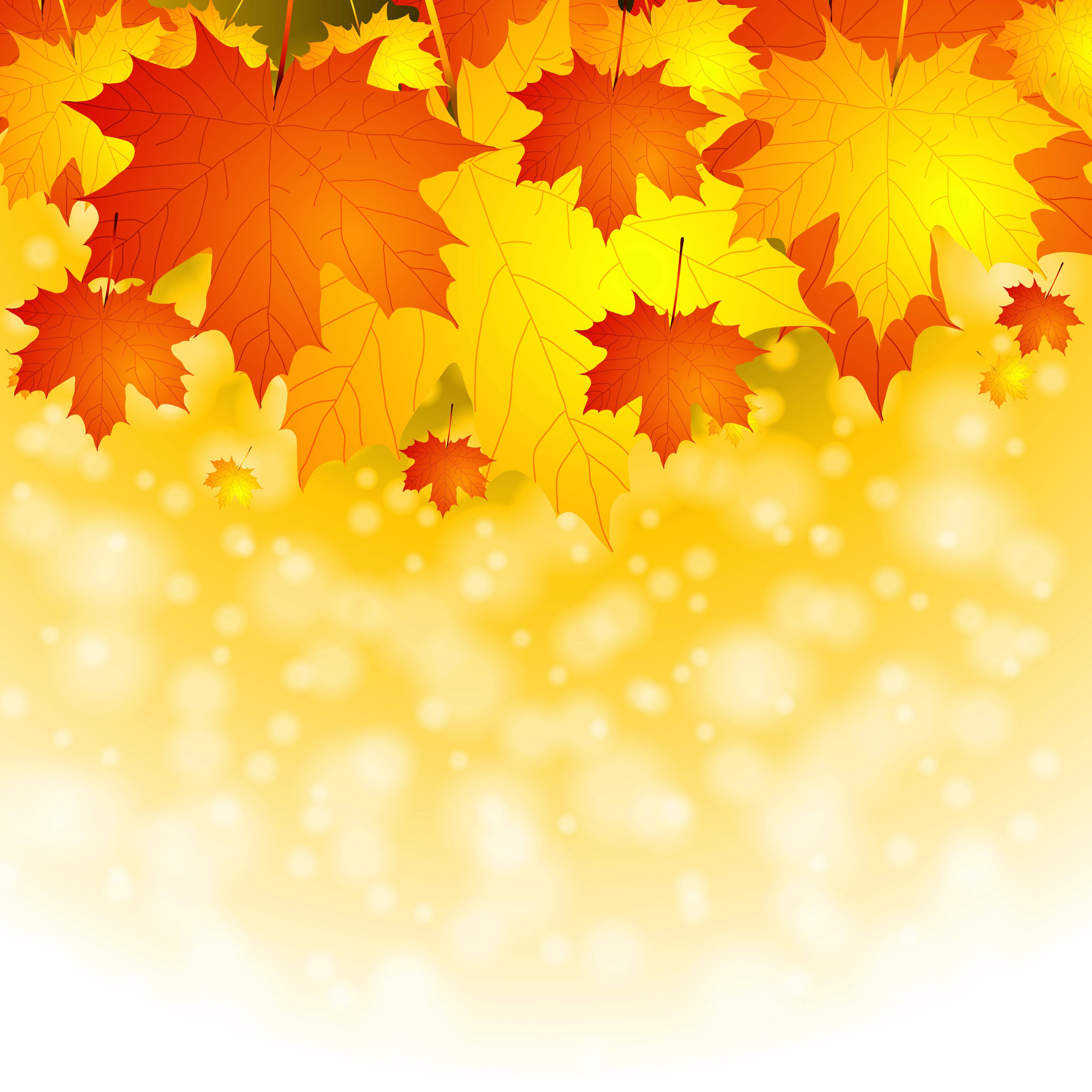 Fall Leaves Zoom Virtual Background