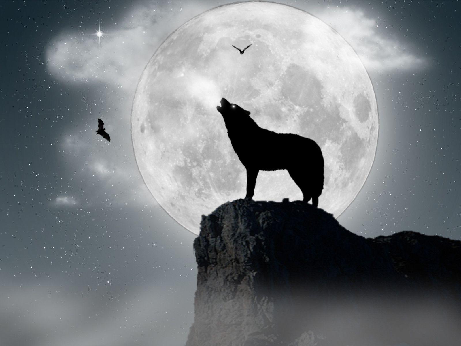 black wolf howling at moon