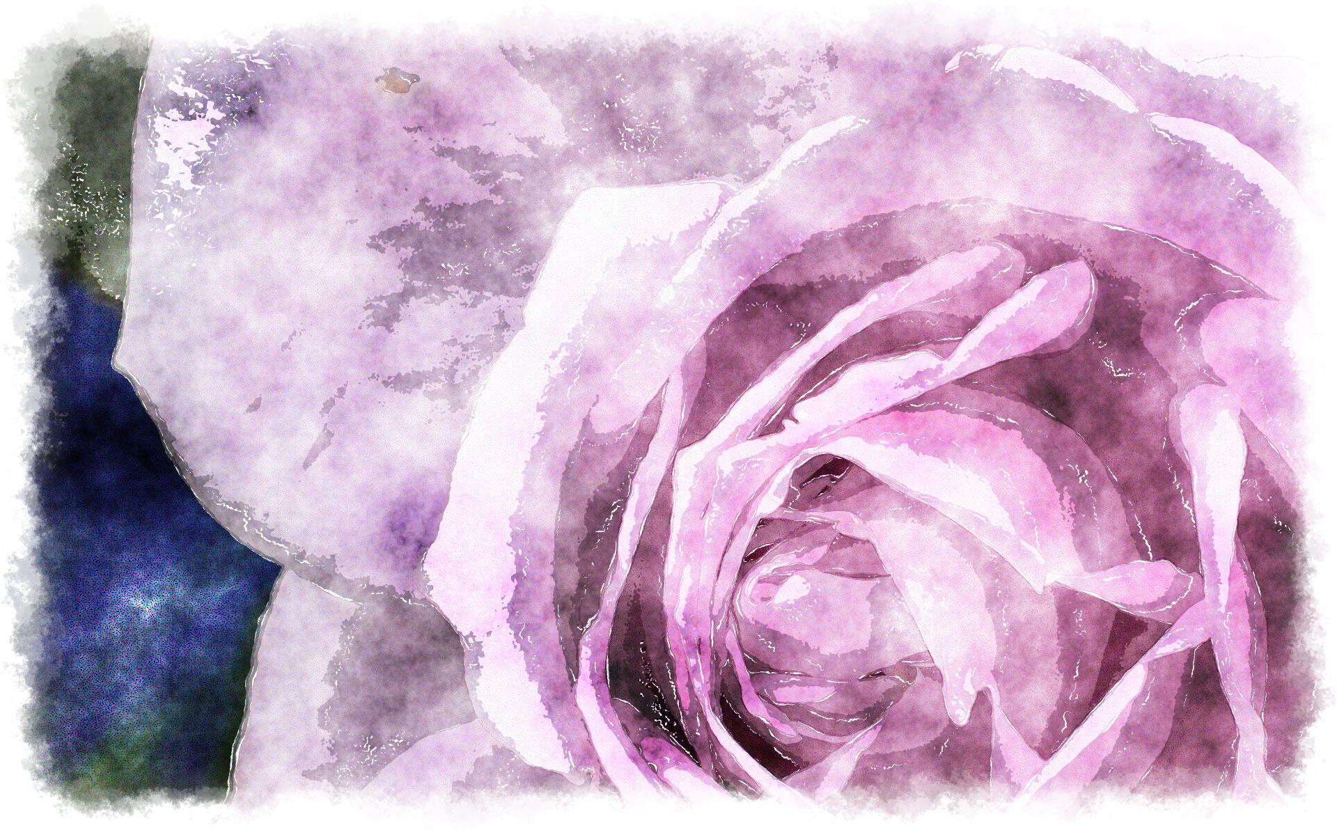 watercolor rose wallpaper - Image And Wallpaper free to