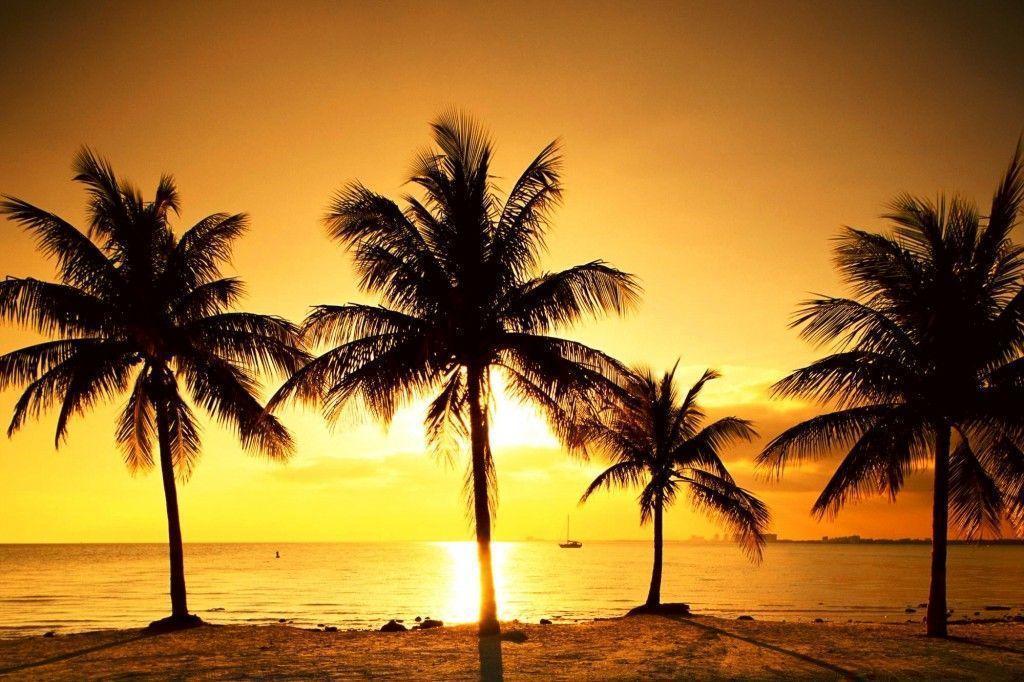 Wallpaper For Pc 6 HQ Wallpaper Background And Wallpaper Home