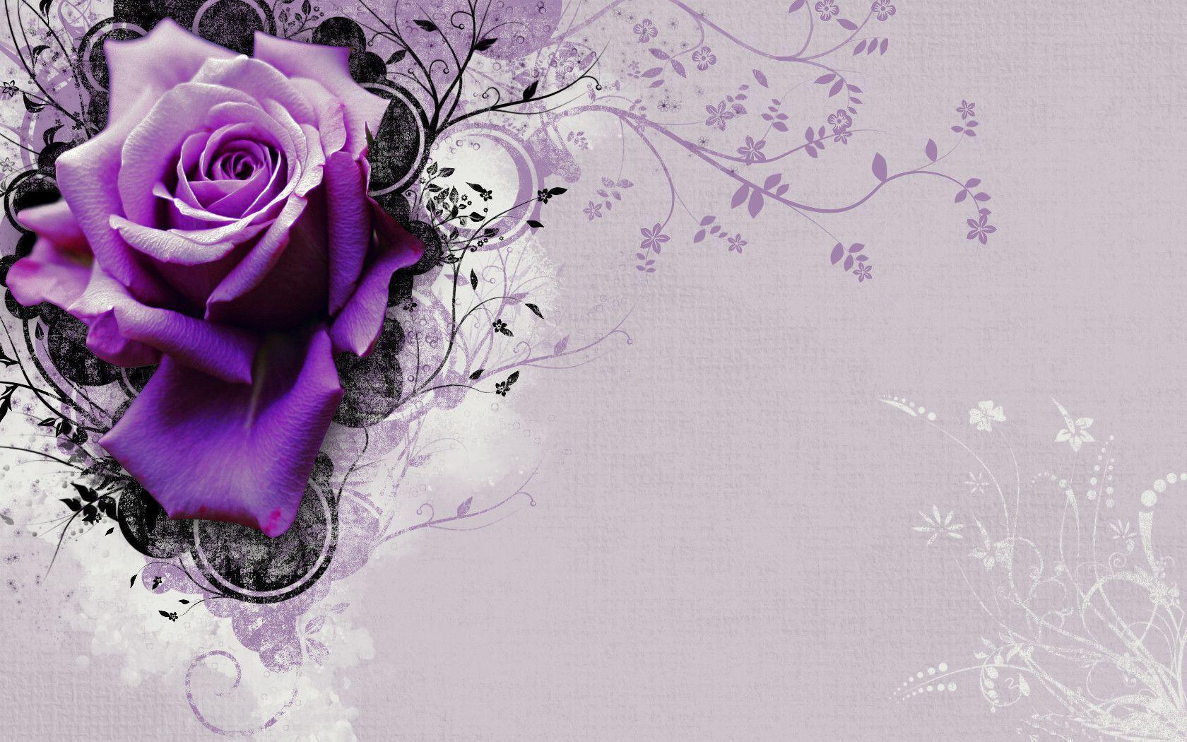 vector rose flower HD wallpaper. Only HD wallpaper