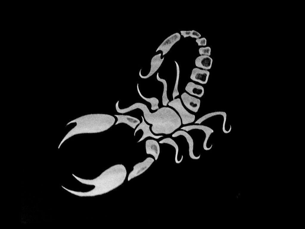 image For > 3D Scorpion Wallpaper