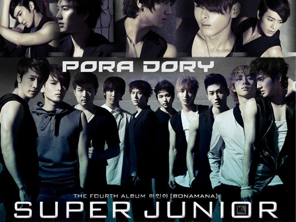 suju2 Junior Wallpaper
