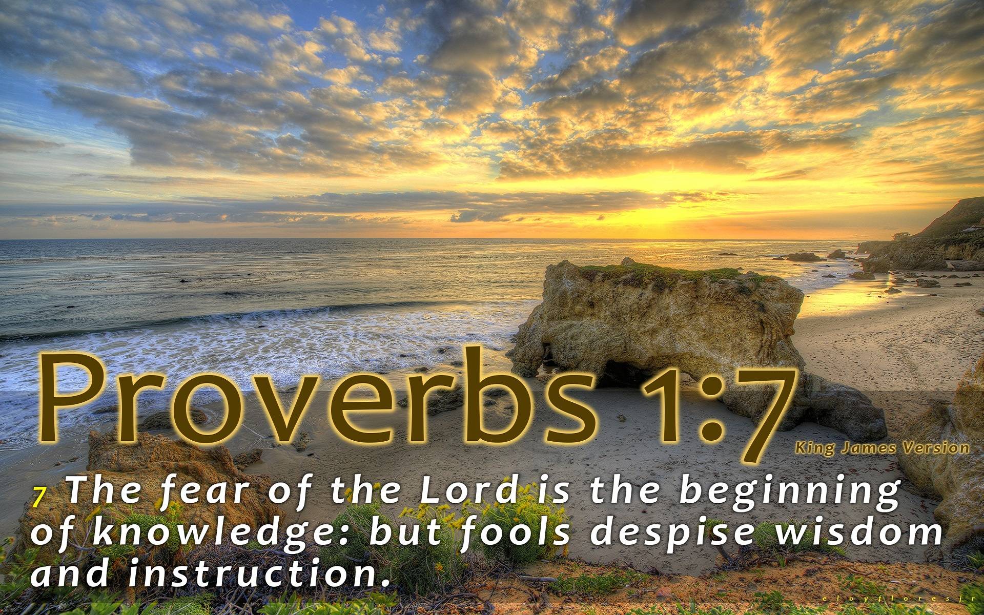 Quotes For > Proverbs Wallpaper