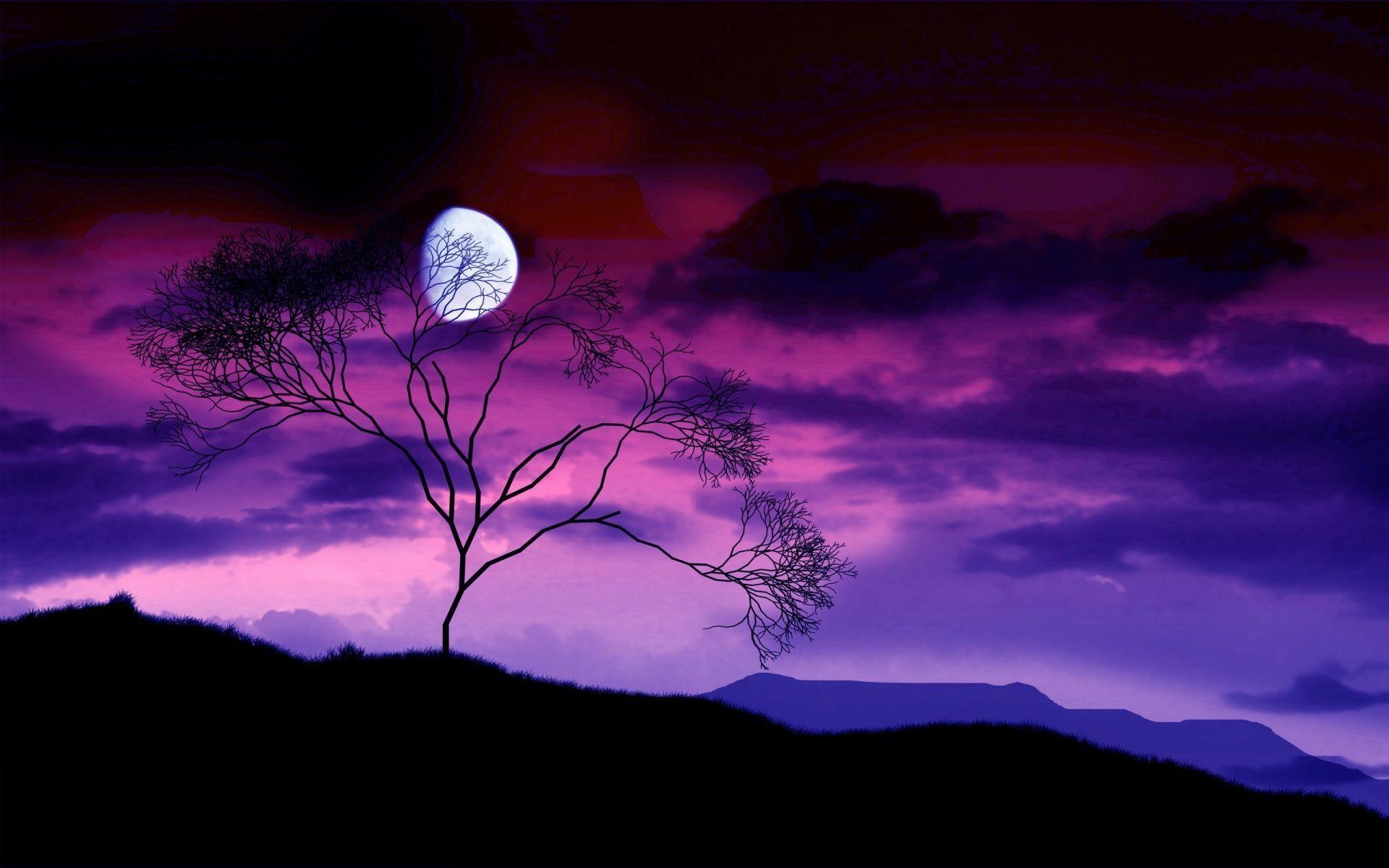 Moonlight Background With Trees