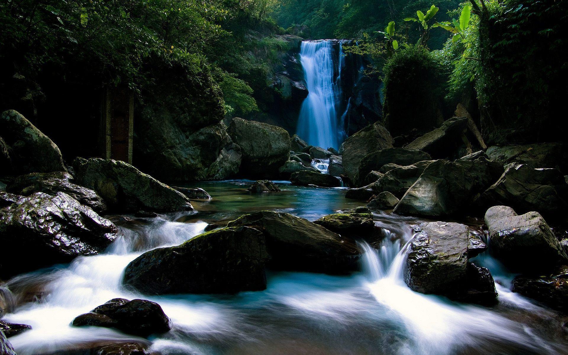 Forest Waterfall Wallpaper and Photo (High Resolution Download)