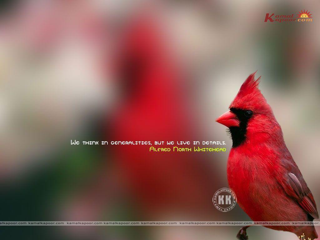 Famous Quotes Desktop Wallpaper