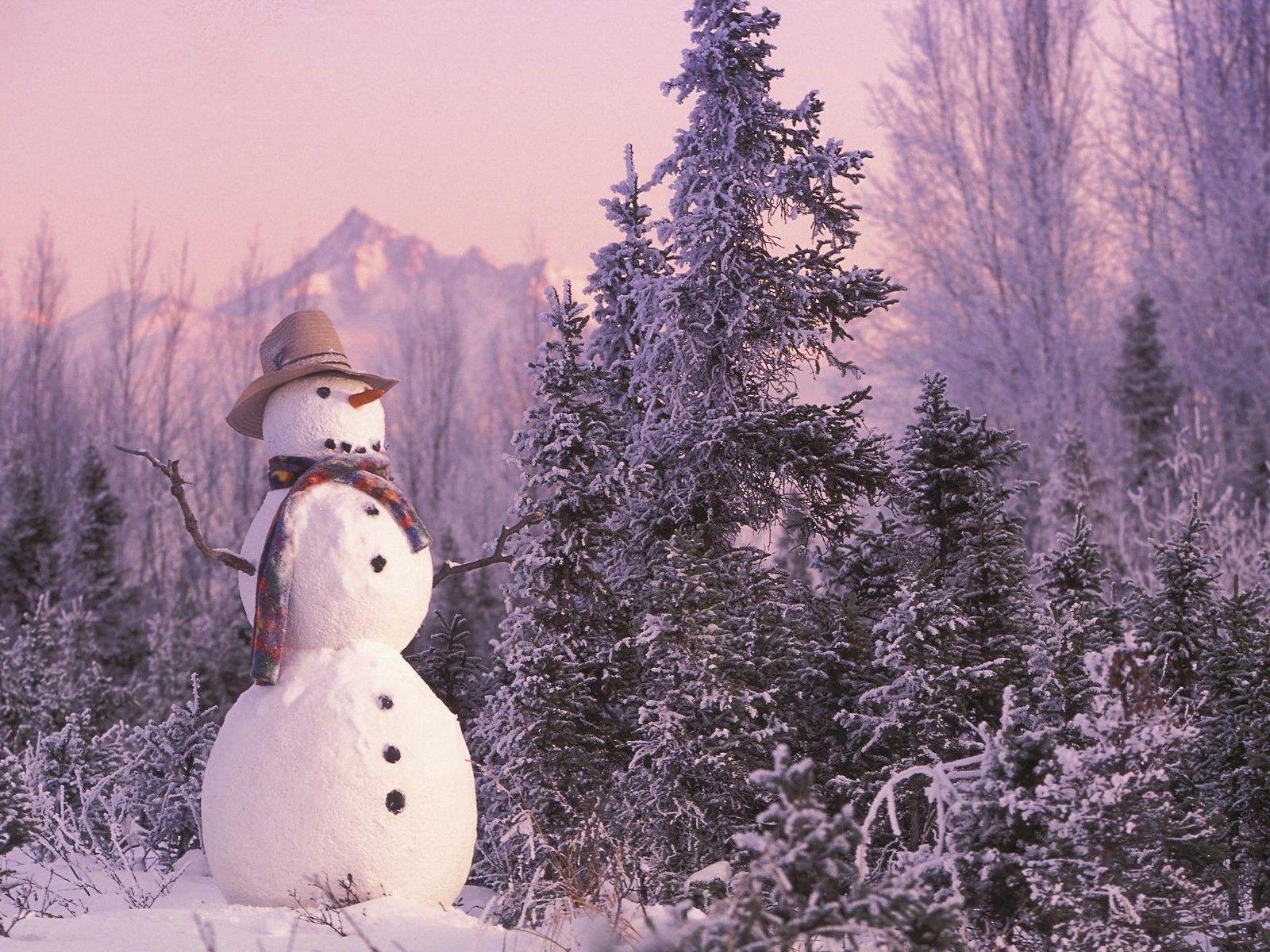 Snowman Winter Desktop, Winter Wallpaper, HD phone wallpaper