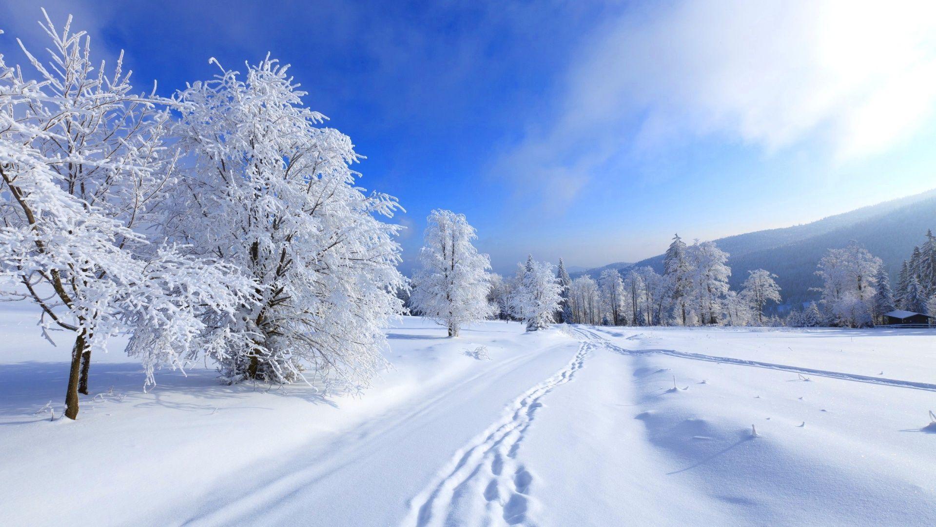 Winter hình nền  Winter bức ảnh 36092406  fanpop