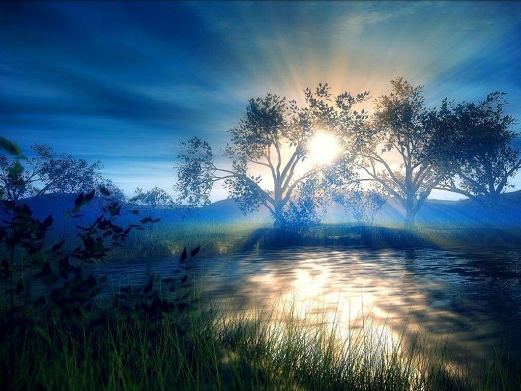 Sunlight Wallpaper Wallpaper HD