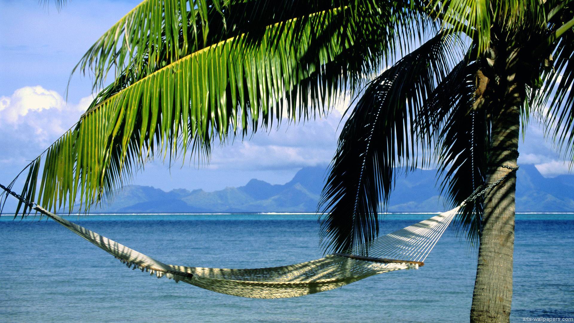 Tahiti Surf Picture Wallpaper HD