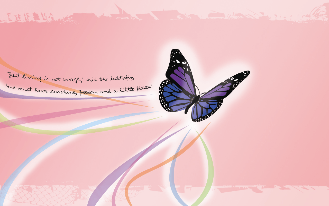 Butterfly Wallpaper And