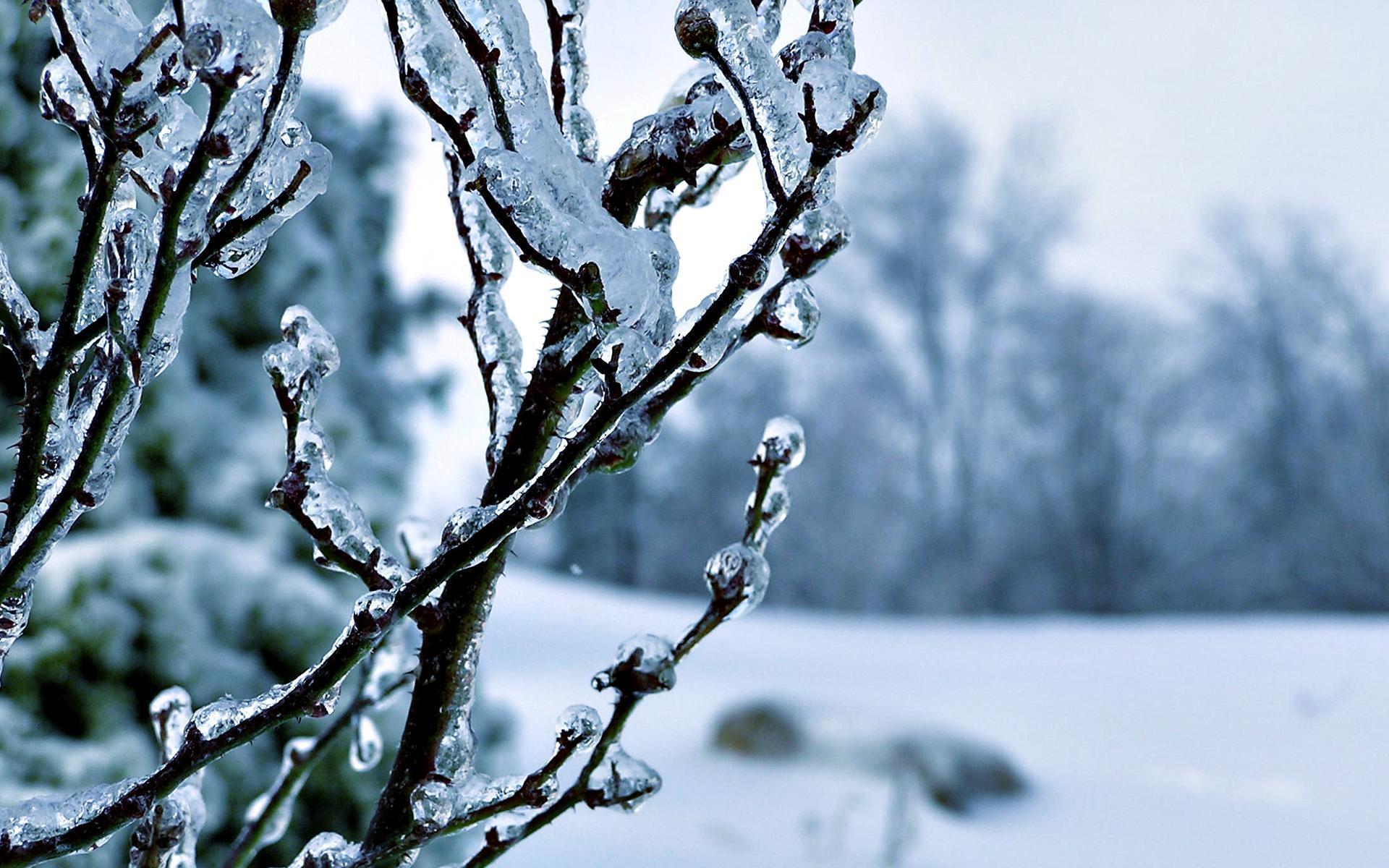 Winter Wallpaper 27 Background. Wallruru