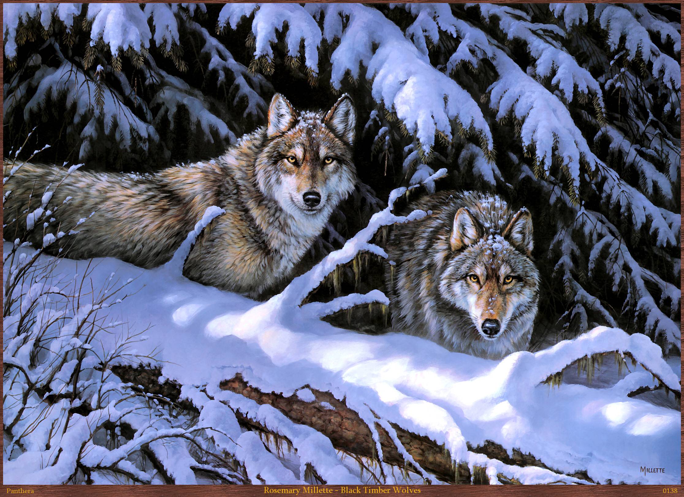 Timberwolf Wallpaper