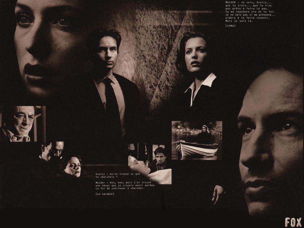 X Files X Files Wallpaper