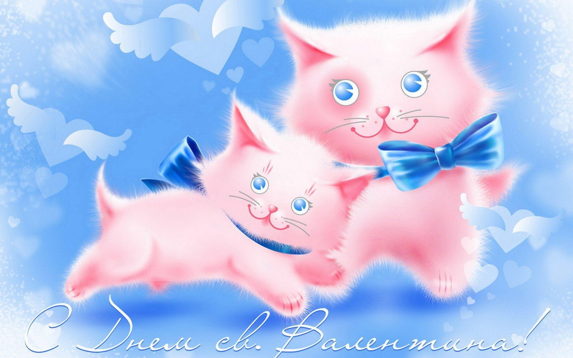 Pink Fluffy Kittens desktop wallpaper