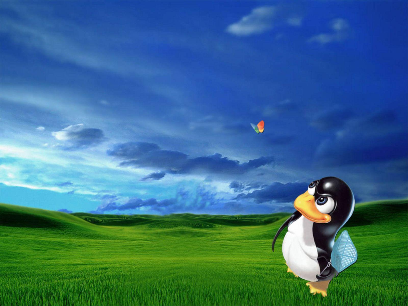 Linux Hunting Windows Wallpaper