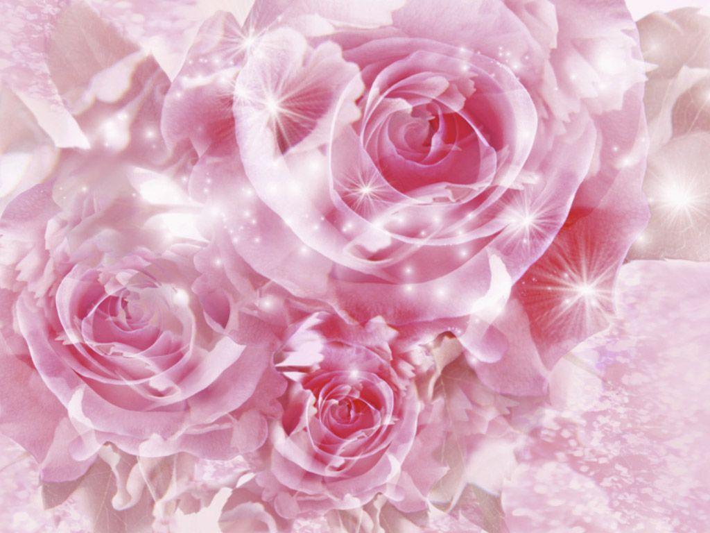 Wallpaper For > Pink Roses Background Wallpaper