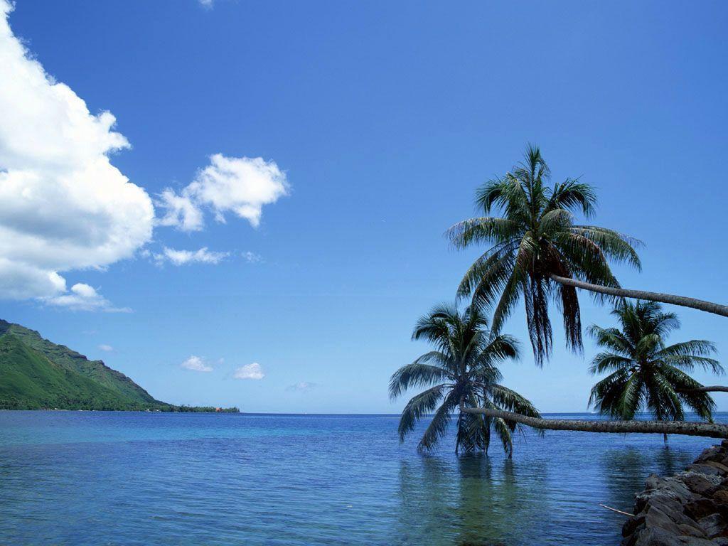 free download wallpaper of desktop