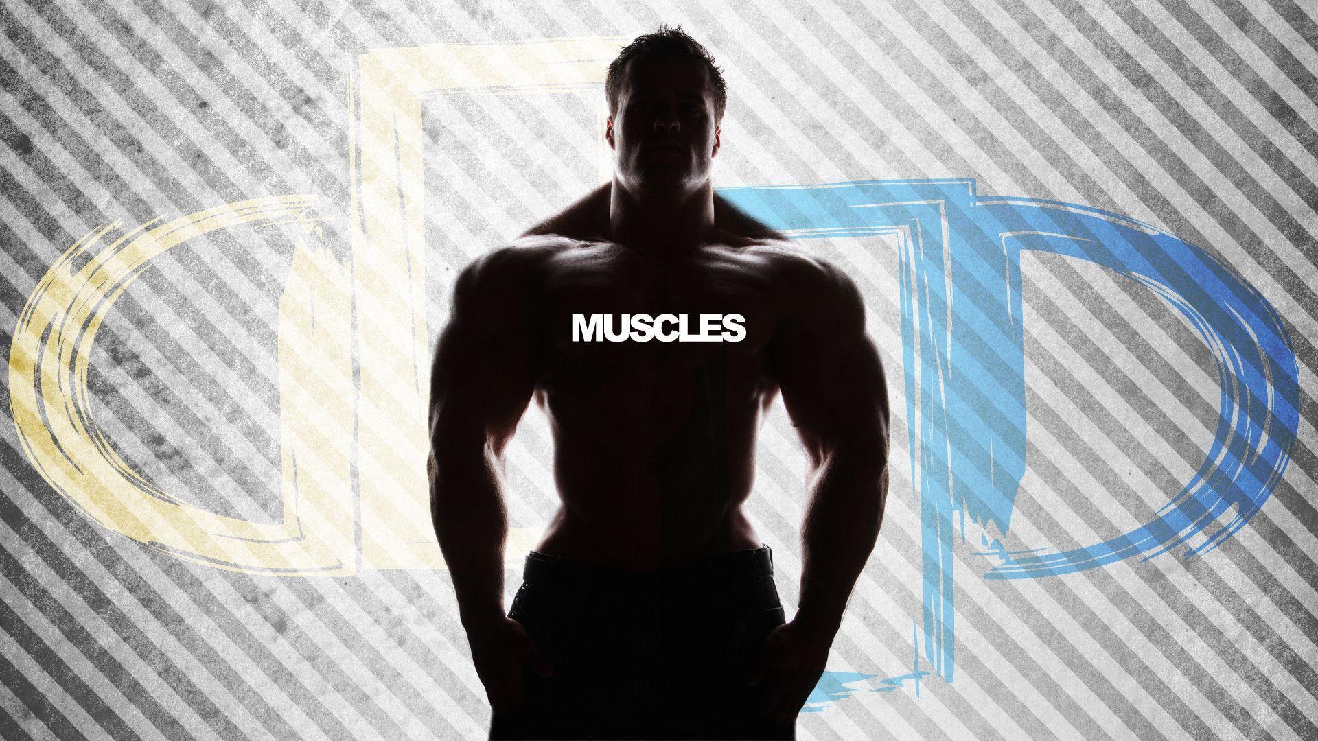 Muscle Man Wallpapers - Wallpaper Cave