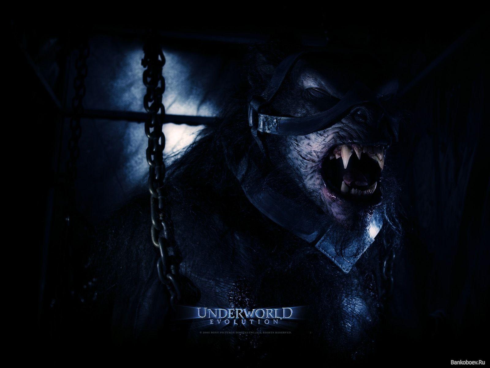 Underworld Werewolf Wallpapers Image & Pictures.