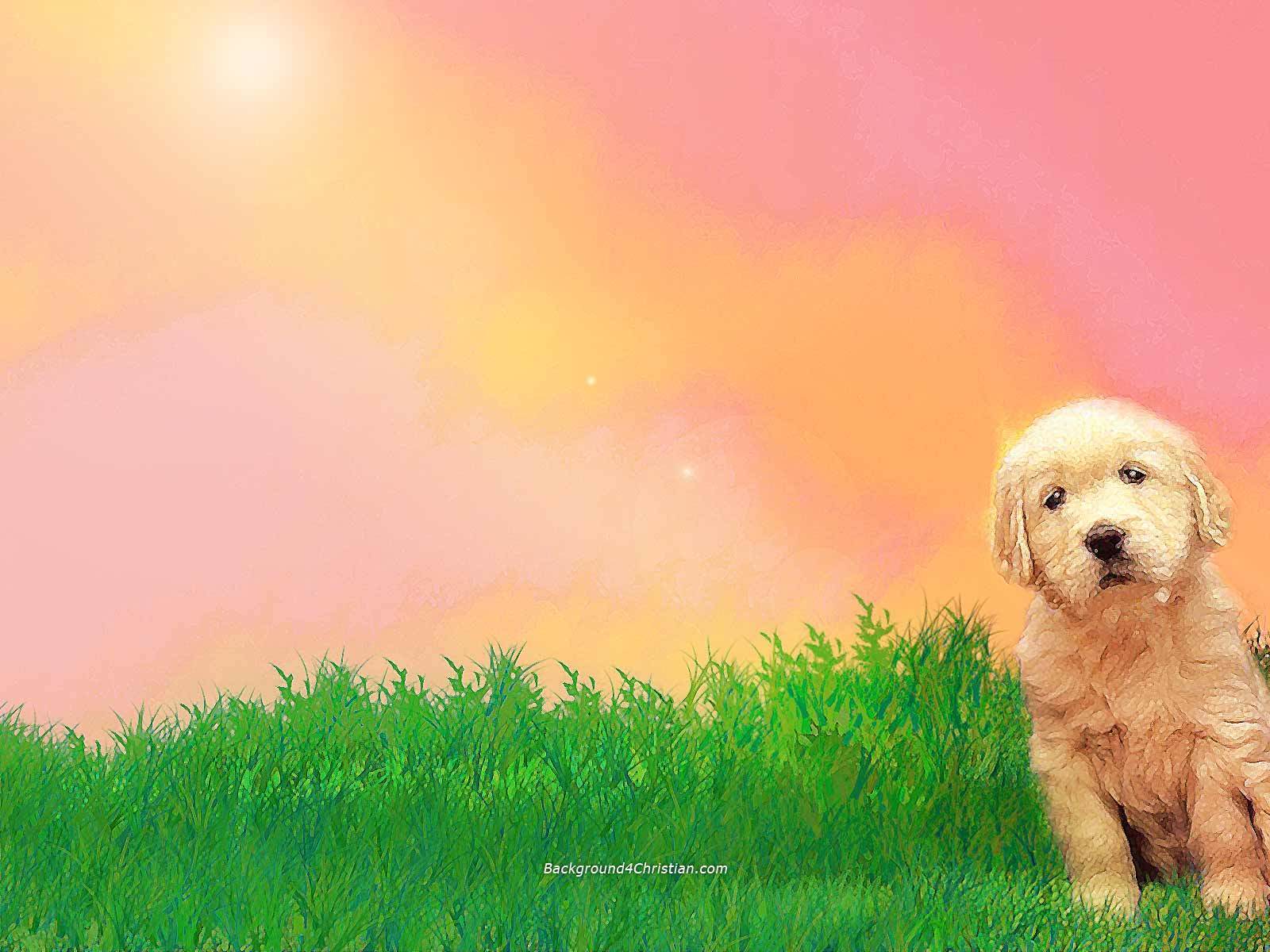 dog wallpapers - wallpaper cave dog wallpapers - wallpaper cave